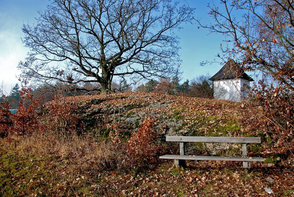 Gasthof Und Pension Haunschmid Rechberg Εξωτερικό φωτογραφία